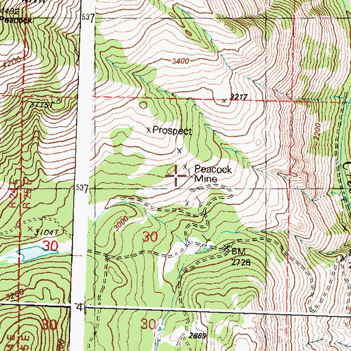 Topographic Map of Peacock Mine, WA