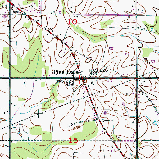 Topographic Map of Pine Dale, AL