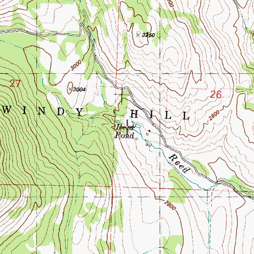 Topographic Map of Reed Pond, WA