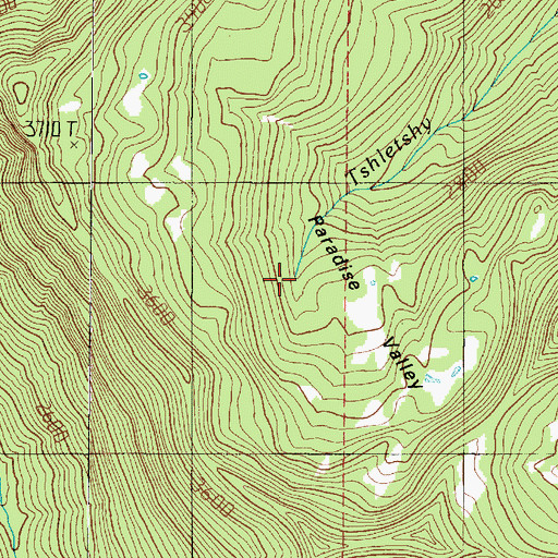 Topographic Map of Paradise Valley, WA