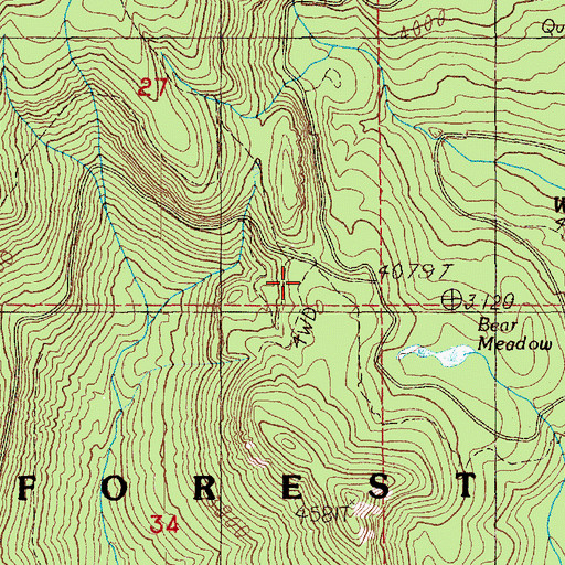 Topographic Map of Bear Meadow Viewpoint, WA