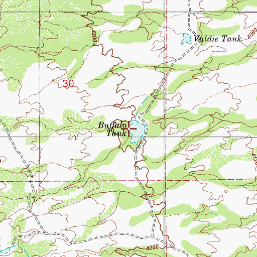 Topographic Map of Buffalo Tank, AZ