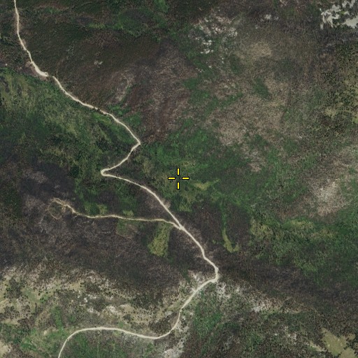 Aerial/Satellite Image of Brown Meadows, WA