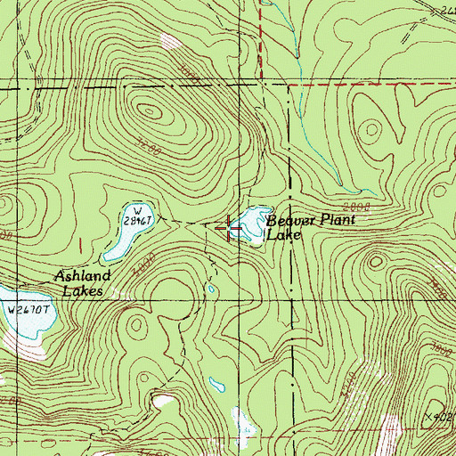 Topographic Map of Beaver Plant Lake, WA