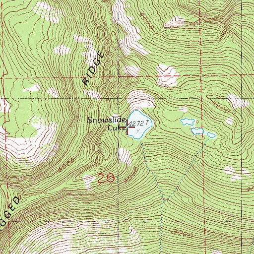 Topographic Map of Snowfall Lake, WA