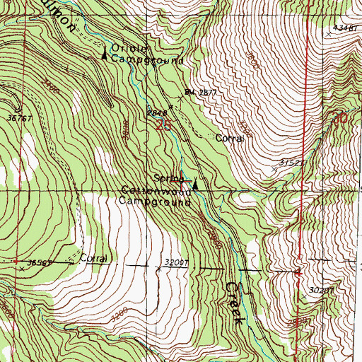 Topographic Map of Cottonwood Campground, WA