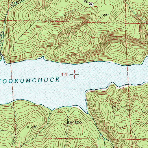 Topographic Map of Skookumchuck Reservoir, WA