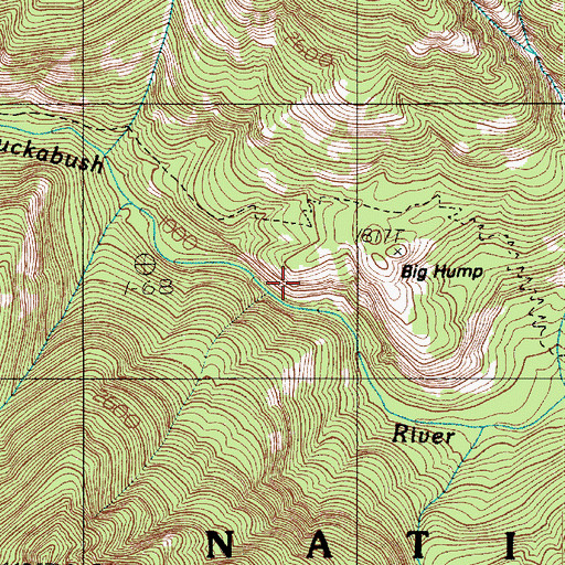 Topographic Map of The Brothers Wilderness, WA
