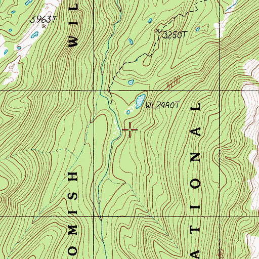 Topographic Map of Mount Skokomish Wilderness, WA