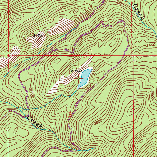 Topographic Map of Wolf Lake, WA