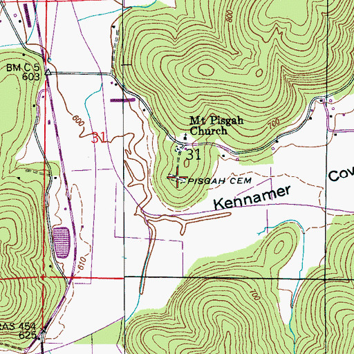Topographic Map of Pisgah Cemetery, AL