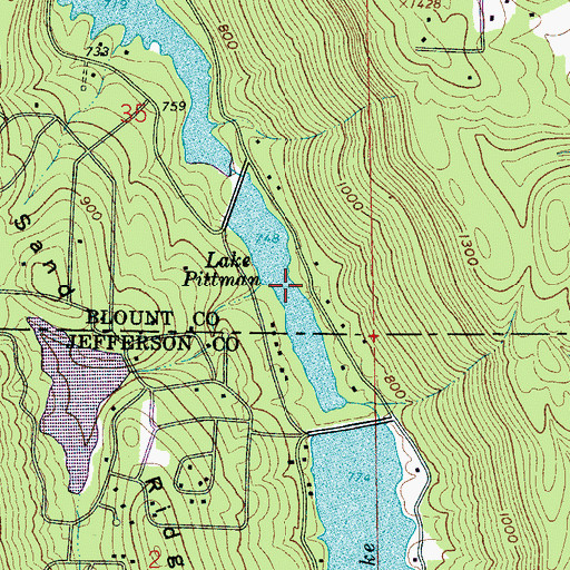 Topographic Map of Lake Pittman, AL