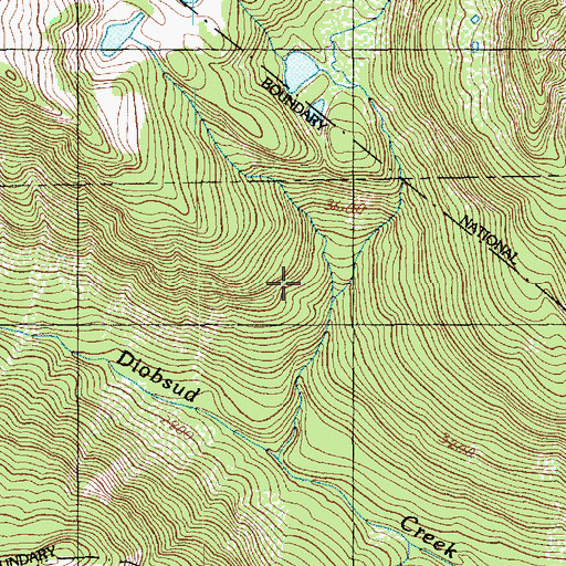Topographic Map of Noisy-Diobsud Wilderness, WA