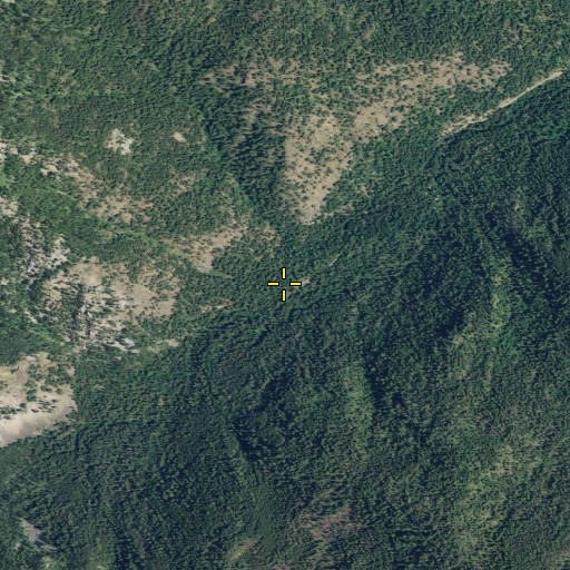 Aerial/Satellite Image of Foggy Dew Trailhead, WA