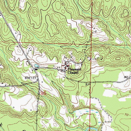 Topographic Map of Pleasant Chapel Baptist Church, AL