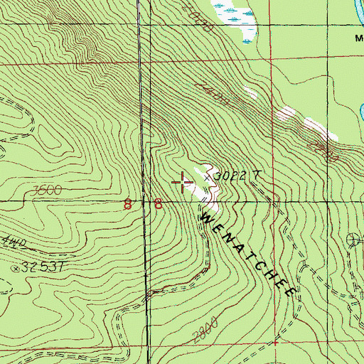 Topographic Map of Wenatchee Ridge Viewpoint, WA