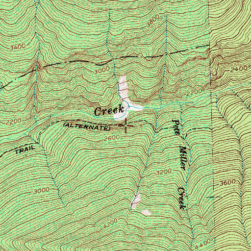 Topographic Map of Rowleys Chasm, WA