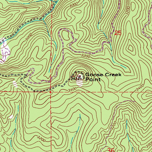 Topographic Map of Goose Creek Lookout, WA