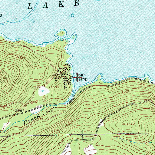 Topographic Map of Silver Salmon Cove, WA