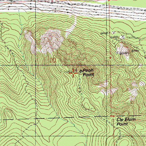 Topographic Map of Cle Elum Point Lookout, WA