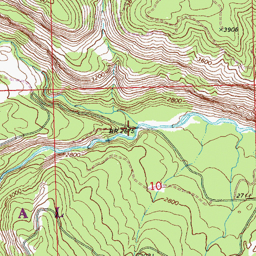 Topographic Map of Rattlesnake Forks, WA