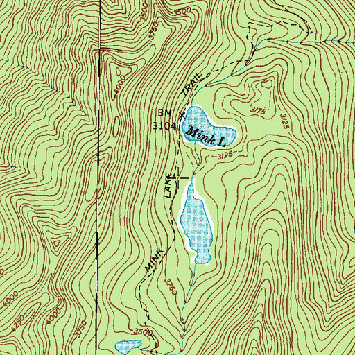 Topographic Map of Bogachiel Park, WA