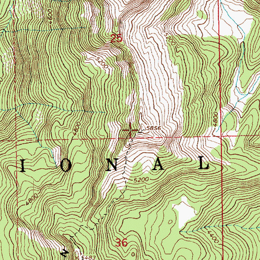Topographic Map of Huckleberry Lookout, WA