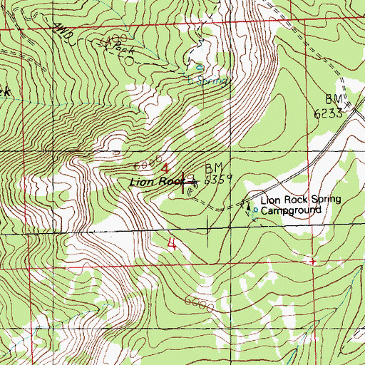 Topographic Map of Lion Rock Lookout, WA