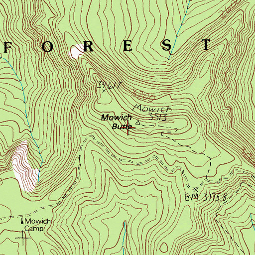 Topographic Map of Mowich Butte Lookout, WA