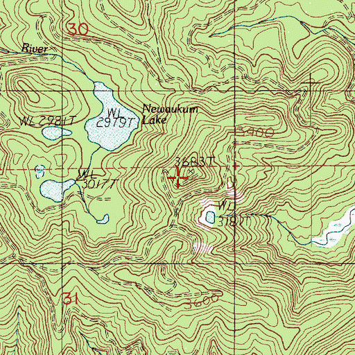 Topographic Map of Newaukum Lookout, WA