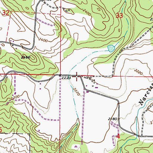 Topographic Map of Narcisse, WA