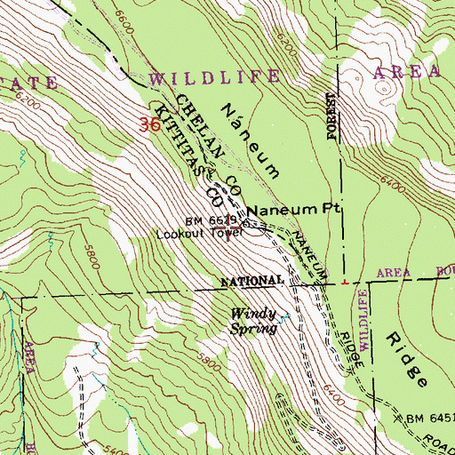 Topographic Map of Naneum Lookout, WA