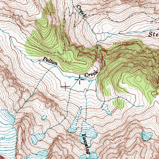Topographic Map of Pelton Lake, WA