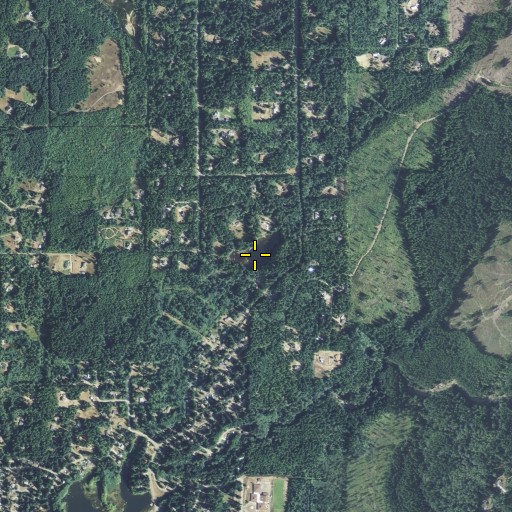 Aerial/Satellite Image of Sprague Pond, WA
