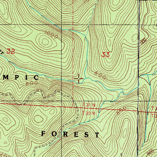 Topographic Map of West Fork Pysht River, WA