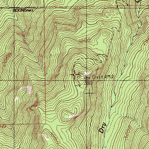 Topographic Map of Dry Creek Lookout, WA