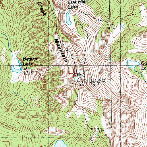 Topographic Map of Lost Lake Lookout, WA