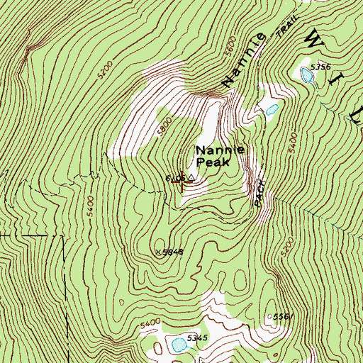 Topographic Map of Nannie Peak Lookout, WA