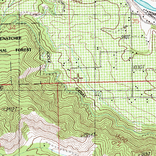 Topographic Map of Peshastin Ditch, WA