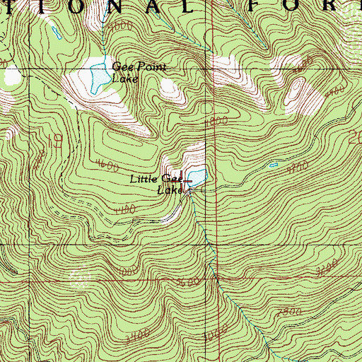 Topographic Map of Little Gee Lake, WA