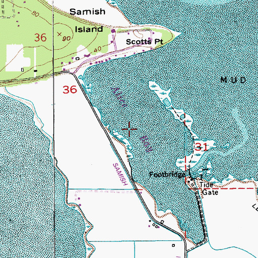 Topographic Map of Siwash Slough, WA