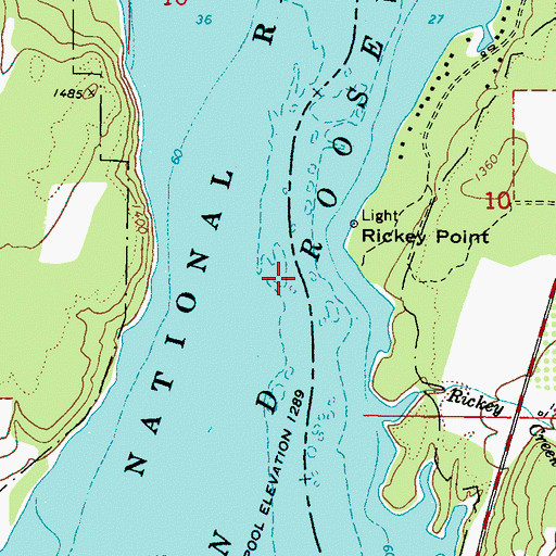 Topographic Map of Rickey Rapids, WA