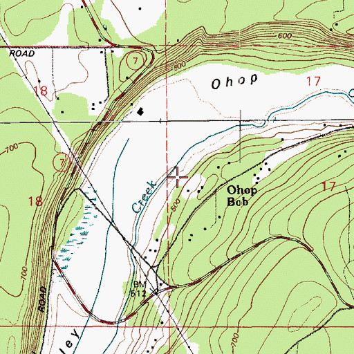 Topographic Map of Ohop Bob, WA