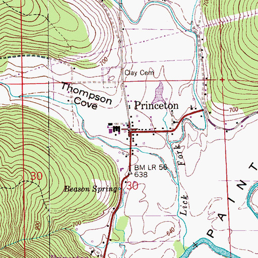 Topographic Map of Princeton, AL
