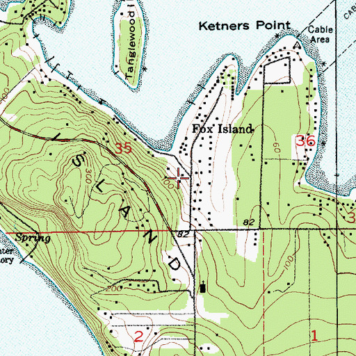 Topographic Map of Fox Island, WA