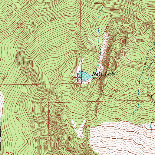 Topographic Map of Nels Lake, WA