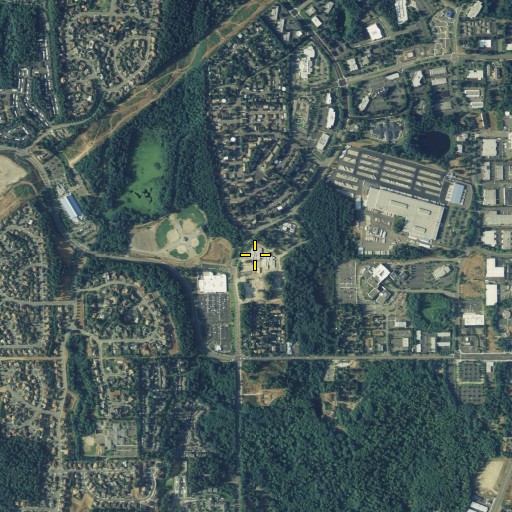 Aerial/Satellite Image of Panther Lake Elementary School, WA