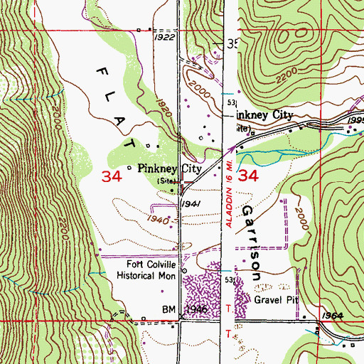 Topographic Map of Pinkney City, WA