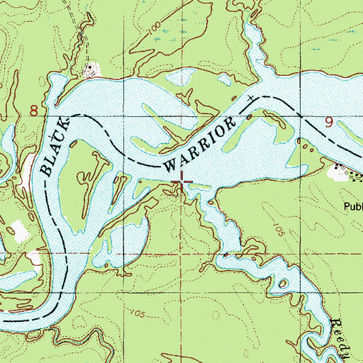 Topographic Map of Reedy Branch, AL