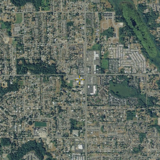 Aerial/Satellite Image of Panther Lake Elementary School, WA